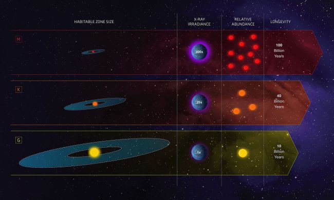 Class K stars are more common than stars like our Sun, and more hospitable than red dwarfs.
